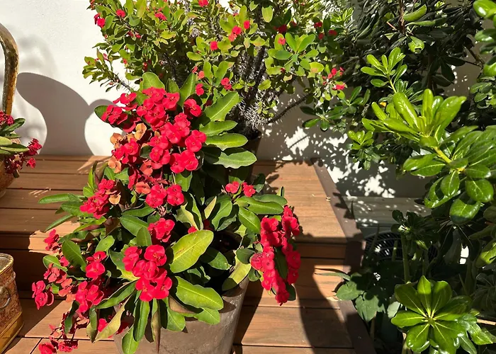 Hotel La Luna Blanca Torremolinos